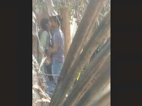 Indian couple's outdoor sexual encounter captured on video