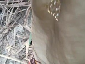 Desi couple's public display of affection in Tamil porn video
