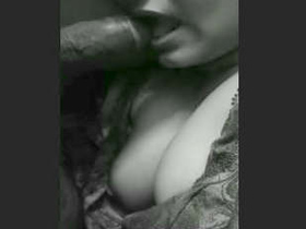 Indian bhabhi with large breasts performs a passionate oral sex act