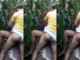 Desi wife gets fucked by neighbor in the daytime