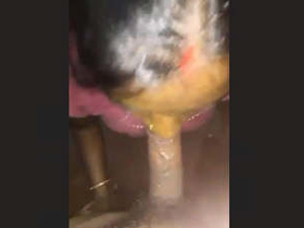 Horny bhabi sucking on young devar's hard dick